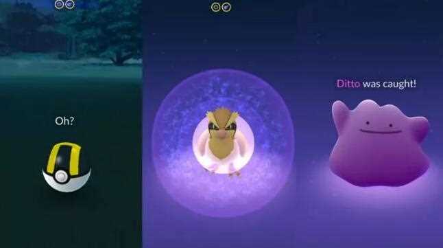 Tricks zur Identifizierung von Ditto in Pokémon Go