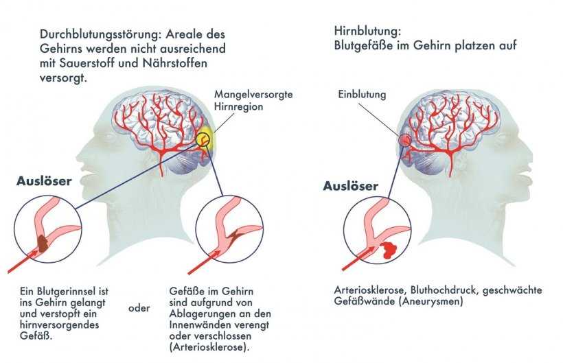 7. Kommunikation mit Angehörigen und Informationsaustausch