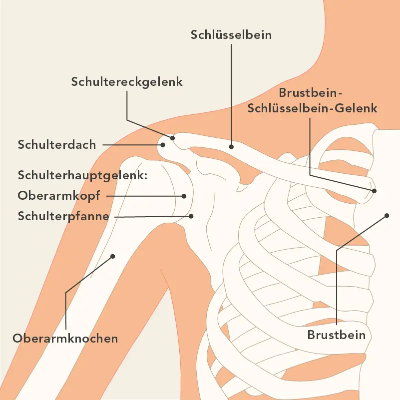 Regelmäßige Bewegung und Stärkung der Schultermuskulatur