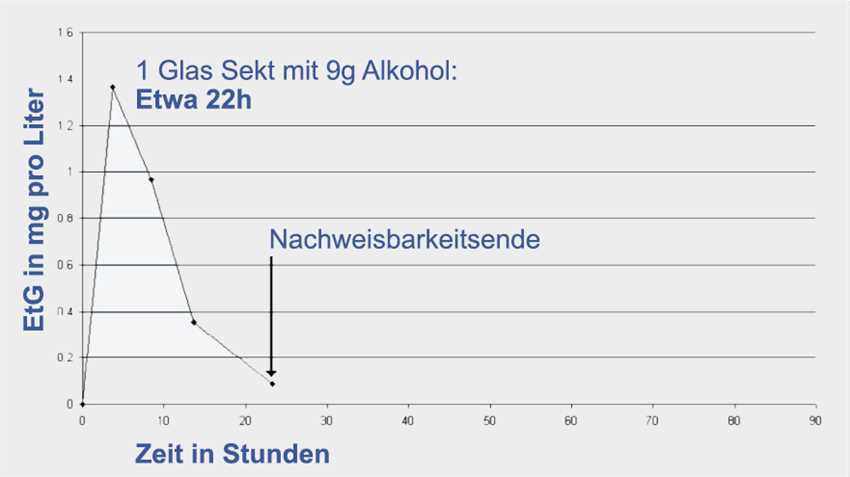 1. Gewicht und Körpergröße