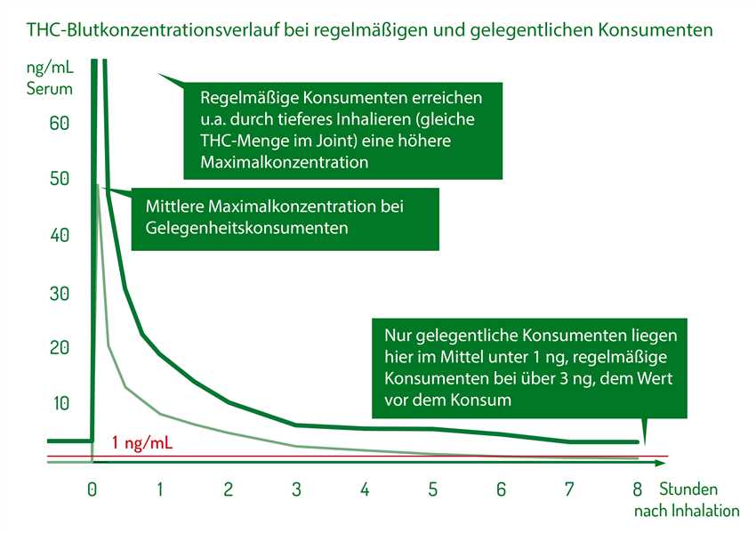 6. Keine weiteren Drogenkonsum