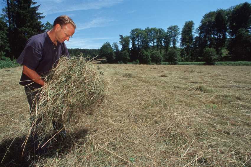 Regelmäßiges Wenden des Heus