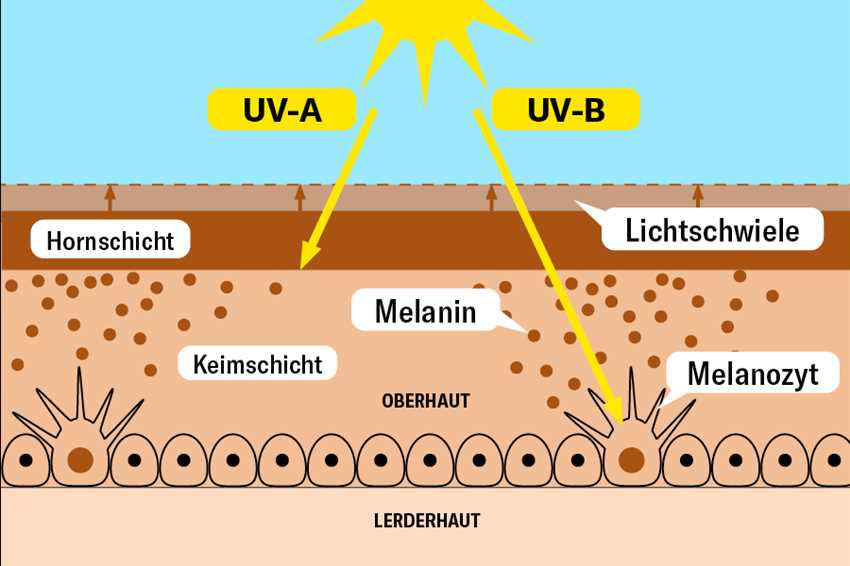 Tipps für sicheres Sonnenbaden