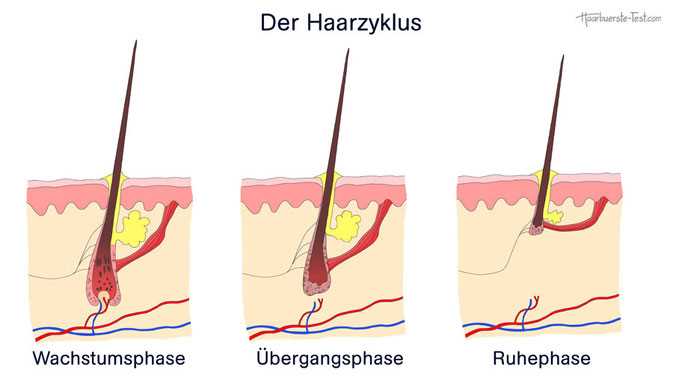 1. Ausgewogene Ernährung: